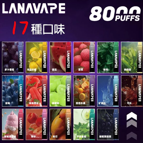 LANA 拋棄式 8000口 | Lana Zolt 一次性電子煙 10ml | 可充電 Mesh網芯 附掛繩 | 台灣現貨速發